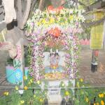 Vraj-Yatra-2014- (2449)